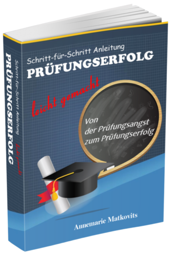 Workbook Prüfungserfolg